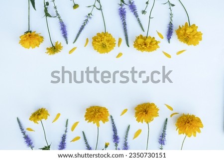 Composition of flowers. Frame folded from yellow flowers (Rudbeckia Laciniata). Yellow and purple flowers on a white background. Spring, Easter concept. Flat lay, top view, copy space.