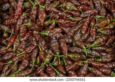 Hot Naga chili pepper in brown, red and yellow colour  Royalty-Free Stock Photo #2350744561