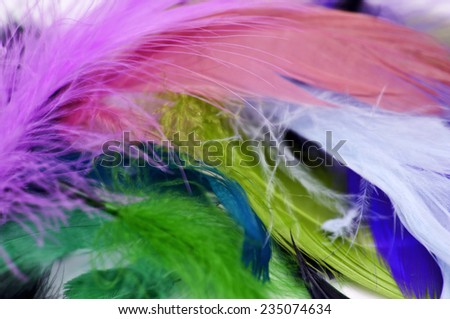 Abstract background texture of colored goose feathers