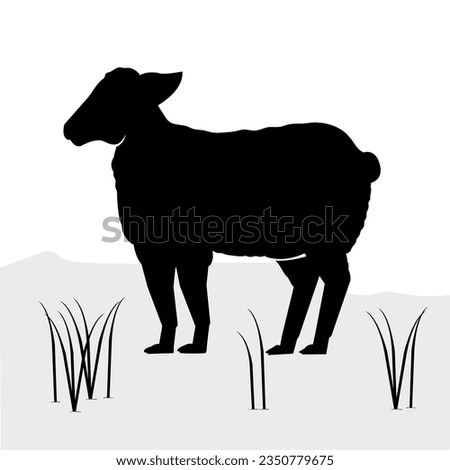 Hand Drawn Sheep Silhouette Isolated On White Background. Vector Illustration In Flat Style.