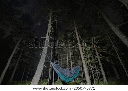 Hammock on the trees in the forest at night in the Viru swamp. High quality photo