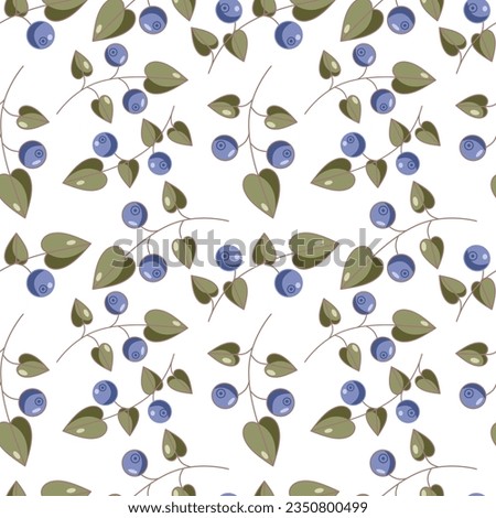 Set of seamless vector blueberries patterns hand drawing berries and leaves.