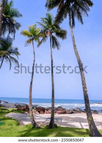 Snippets of coconut beaches in Liberia