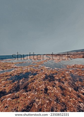 Red coral beach landscape view 
