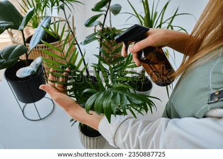 A beautiful girl takes care of plants by spraying them with water. Florist works and sprays aquatic plants. Happy and smiling florist watering plants Royalty-Free Stock Photo #2350887725