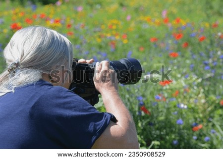 Senior female on photography shoot in field of wild flowers using a DSLR camera and zoom lens to create video and images for stock sites