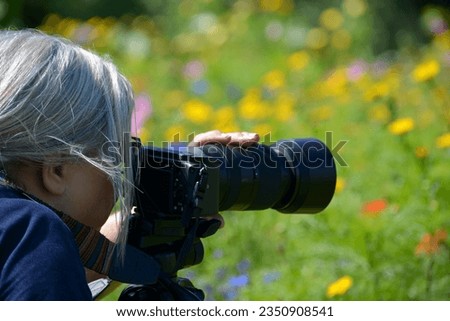Senior female on photography shoot in field of wild flowers using a DSLR camera and zoom lens to create video and images for stock sites