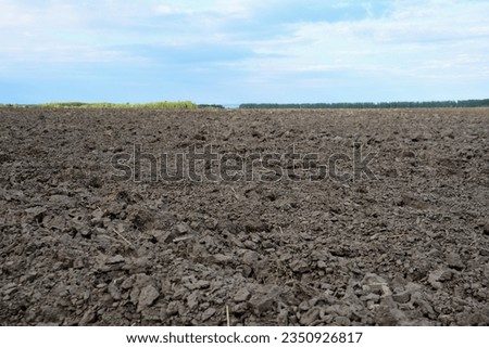 ploughted field with black soil and blue sky on horizon copy space Royalty-Free Stock Photo #2350926817