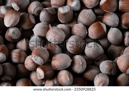 The texture of hazelnuts in the shell.