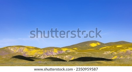 Cloud shadows; Carrizo Plain super bloom, Colors in the Elkhorn, Plain and Temblor, mountains, with vehicle, for scale; Carrizo Plain super, bloom