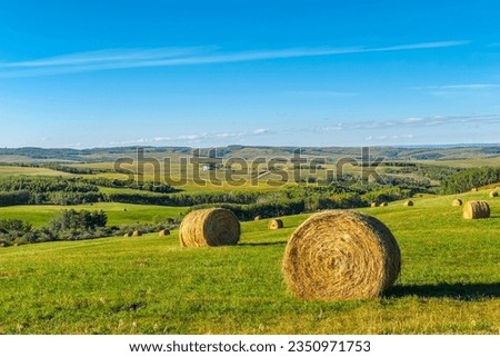Bales of hay in a farmer's field in the Alberta foothills southwest of Calgary Royalty-Free Stock Photo #2350971753