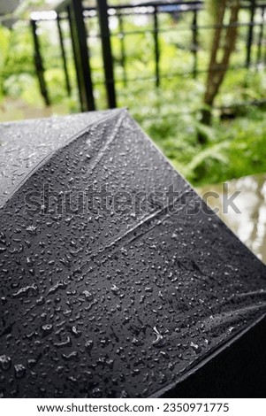 Umbrella black color in the rain at cafeteria, high quality photo full frame camera.