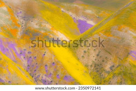 Yellow and purple stripes; Carrizo Plain super, bloom; Vivid watercolor style; Carrizo Plain, super bloom