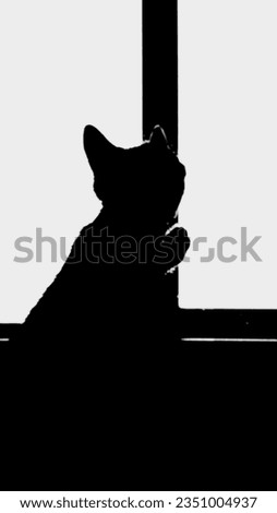 Baby cat looking out window silhouette abstract background in classic black white