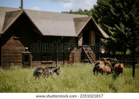 Photo of a herd of horses grazing in front of a rustic barn