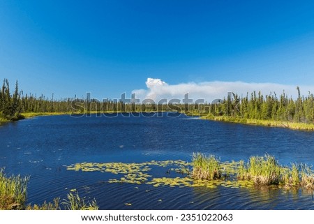 Tranquil blue lake during summer near Yellowknife, Northwest Territories, NT Canada Royalty-Free Stock Photo #2351022063