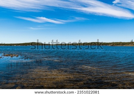 Tranquil Tibbitt Lake on Summer Afternoon, Northwest Territories, NT Canada Royalty-Free Stock Photo #2351022081