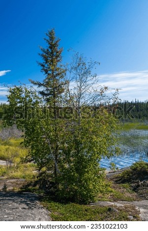 Beautiful Pontoon lake Territorial Park near Yellowknife, Northwest Territories, NT Canada Royalty-Free Stock Photo #2351022103