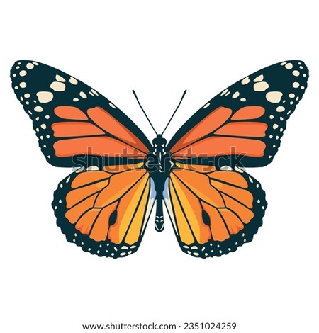 vector beautiful monarch butterfly cartoon illustration isolated