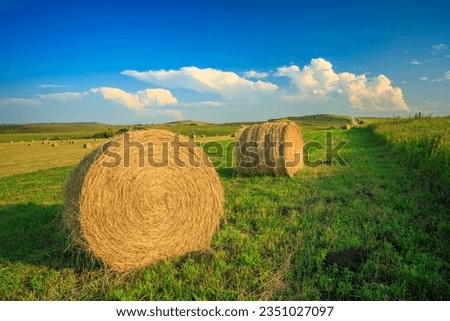 Round bales of hay in a farm field in the foothills of southern Alberta Royalty-Free Stock Photo #2351027097