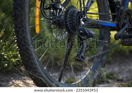 rear wheel close up. Small sprocket on the mountain bike rear derailleur. Bicycle wheel speed switch details. concepts of renovation, sports, cycling, outdoor activities