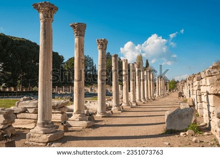 Columns of the Tetragonos Agora. The commercial market square in Ephesus Ancient City. Izmir, Turkey. Royalty-Free Stock Photo #2351073763