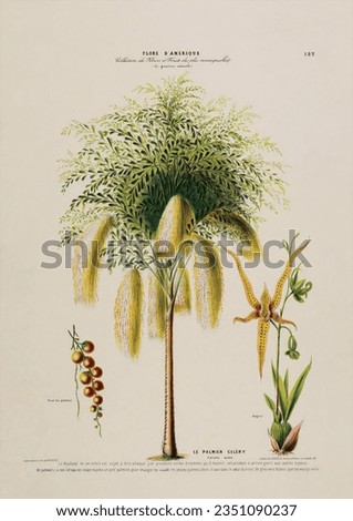 Vintage Botanical Illustration Fruit Flowers Plants Royalty-Free Stock Photo #2351090237