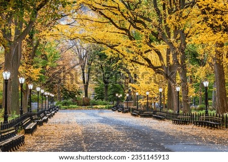 Central Park at The Mall in New York City during an autumn dawn. Royalty-Free Stock Photo #2351145913