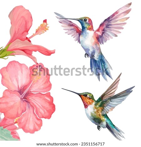 watercolor humming bird and hibiscus flower