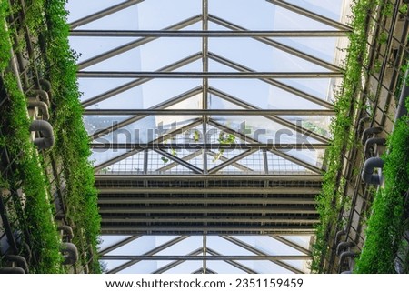 Green house indoor garden with environmentally friendly layout of floors and walls overgrown with greenery in Prawirotaman, Yogyakarta, Indonesia.