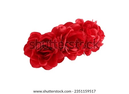 Red Rose Flower Crown side view isolated on white background with clipping paths
