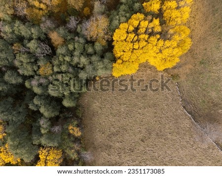 Aerial view of autumn landscape. Drone nature photography taken from above in Sweden in October. Deciduous forest in vibrant colors. Background with copy space, place for text.