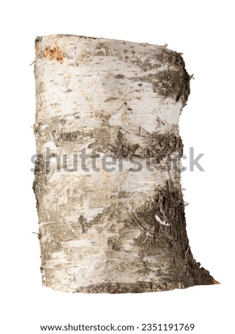 Firewood, cut birch, log. On a white background. Fuel, environment, ecology.