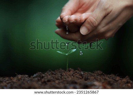 Watering fresh green plant sprout seedlings on soil and precious life and earth environment and life world water day concept
