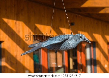 Fake plastic bird imitation to repeal real birds. Window collision prevention. Royalty-Free Stock Photo #2351284517