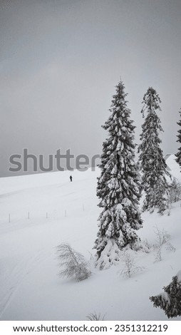 Skiing in winter beautiful mountain 