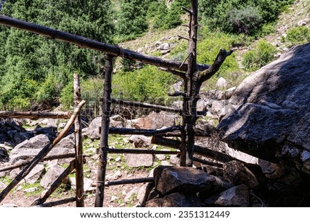 log fence in the forest