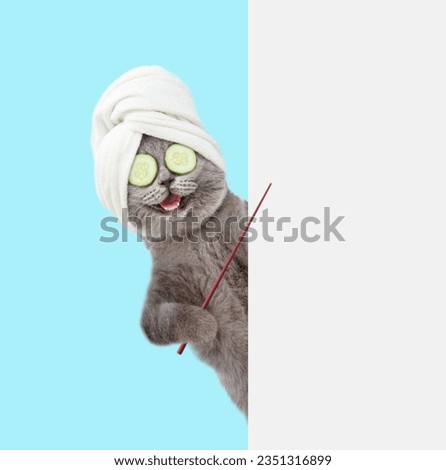 Happy cat with towel on it head and pieces of cucumber on it eyes points on empty white banner. isolated on blue background