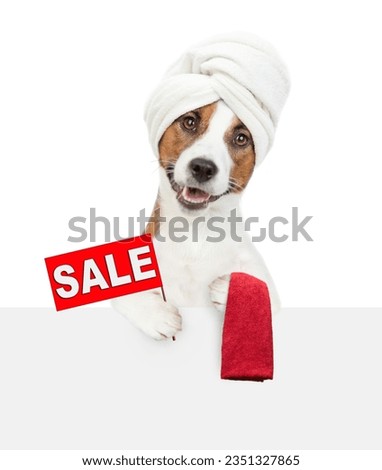 Funny Jack russell terrier puppy with towel on it head shows sales symbol above empty white banner. isolated on white background