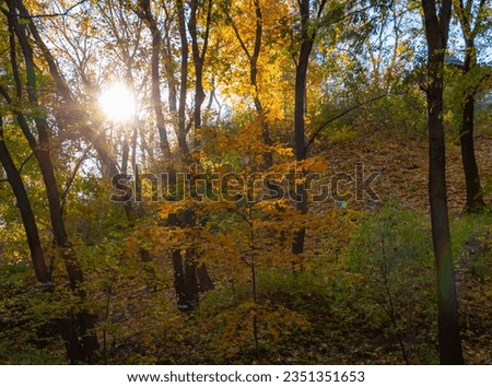 Autumn city park, yellow-red tree leaves, autumn colors, nature and peace, fall Royalty-Free Stock Photo #2351351653