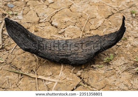 The burnt coconut fibers are then made into charcoal