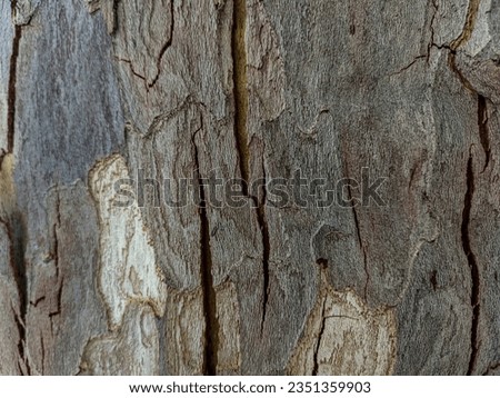 Yellow-gray tree bark. A photo with many details perfect for a s