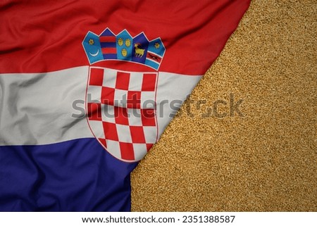 wheat grain on the waving colorful big national flag of croatia .macro shot.