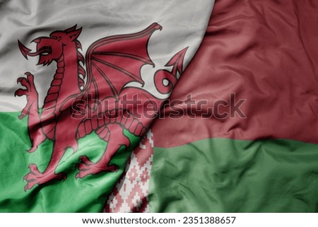 big waving national colorful flag of wales and national flag of belarus . macro