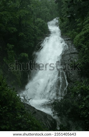 Huge waterfall from Kannur Kerala, Beautiful forest view with waterfall