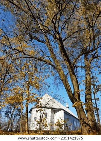 An old church near the forest