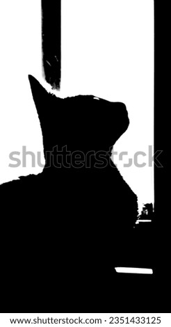 Curious cat looking out window silhouette abstract background in classic black white