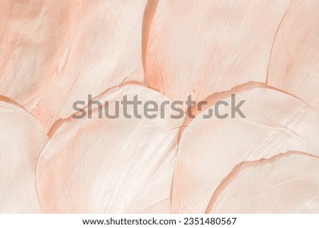 Nature pattern of dry petals, transparent leaves with natural texture as natural background or wallpaper. Macro texture, skeleton flower petal. Monochrome peach color aesthetic beauty of nature