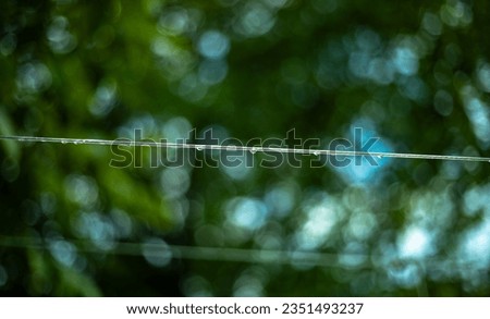 Raindrops on a clothesline. Bokeh background.
