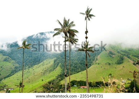 panoramic image of cocora valley with the beautiful colonial architecture Royalty-Free Stock Photo #2351498731